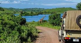 Tanzania Wild and Free Safari Package