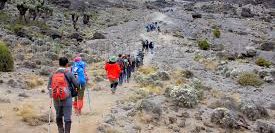Climbing Mt. Kilimanjaro: Rongai Route